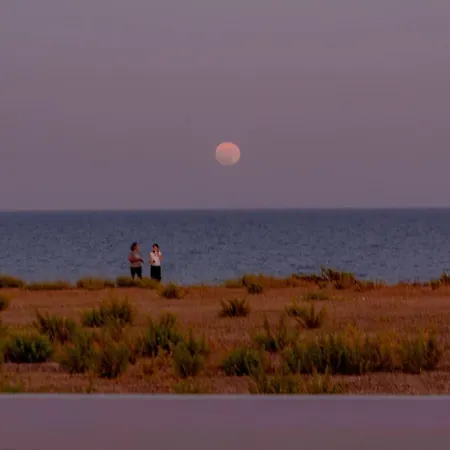 Ferienhaus Telmar Royal Mazotos