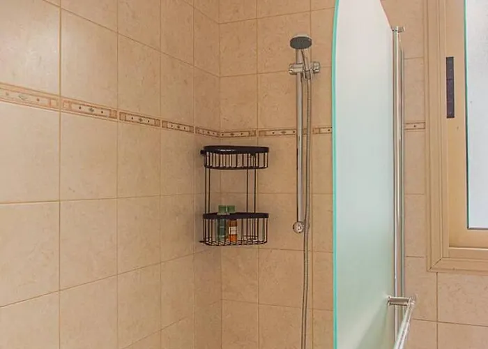 Telmar Royal マゾトス