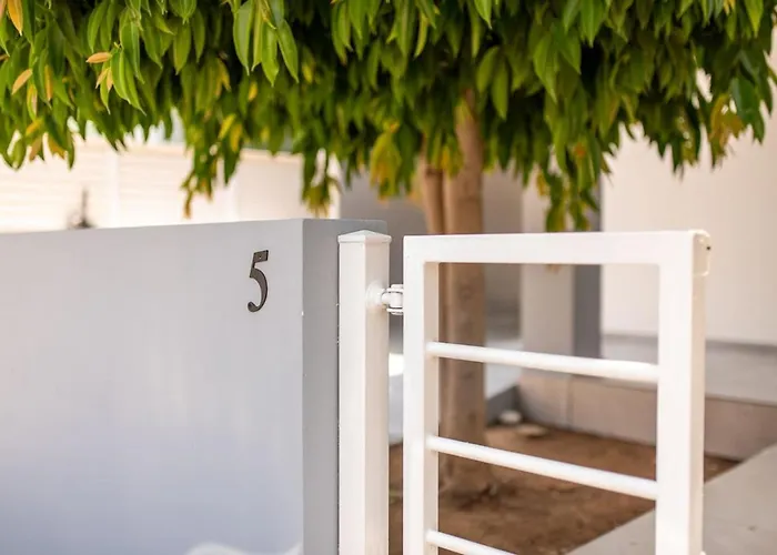 Telmar Royal マゾトス