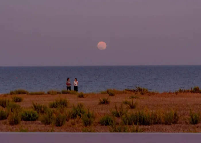別荘 Telmar Royal マゾトス